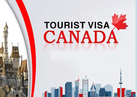 New Delhi, Career Counseling, IELTS And PTE Coaching Courses