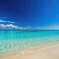 Best Beach In Maharashtra For Couples, Families & Solo Travelers
