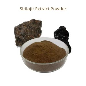 New Delhi, Health & Beauty Items, Green Coffee Extract 50% CGA Manufacturers In India