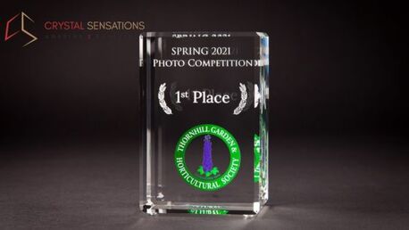 New York, Business, Stylish Engraved Crystal Awards For Corporate Events