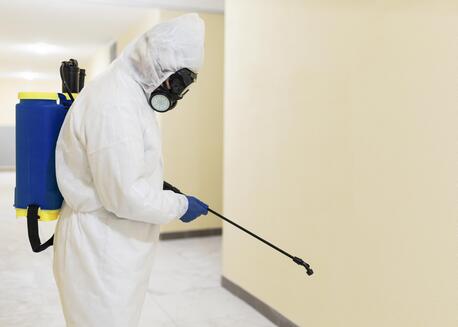 Toronto, Pest Control, Hire Expert Pest Control In Saskatoon &ndash; Fast & Affordable Service