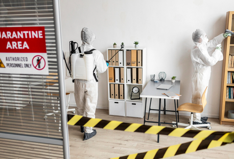 Toronto, Pest Control, Hire Expert Pest Control In Saskatoon &ndash; Fast & Affordable Service