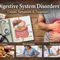 Effective Treatment For Digestive System Disorders | Harmony