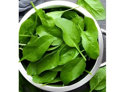 Jaipur, Food, Desi Palak Patta Fresh Indian Spinach Leaves Benefits Uses