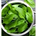 Desi Palak Patta Fresh Indian Spinach Leaves Benefits Uses