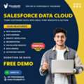 Salesforce Data Cloud Training Ameerpet | Data Cloud Course