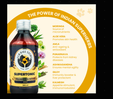 Gurgaon, Pet Sitting, Don&rsquo;t Wait Till Something Feels Off