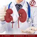 Kidney Transplant Specialist In Mumbai For Transplant Evaluation