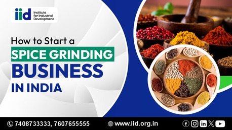Lucknow, Business, How To Start A Spice Grinding Business In India | Complete Guide