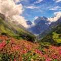 Paradise Yatra &ndash; Affordable & Hassle-Free Travel Packages