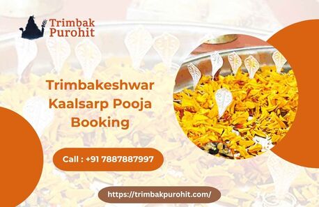 Mumbai, Guides/Interpreters, Trimbakeshwar Kalsarp Pooja Booking | Kaal Sarp Dosh Puja Nashik