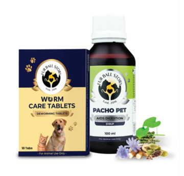 Gurgaon, Pet Sitting, The Silent Wall Between You