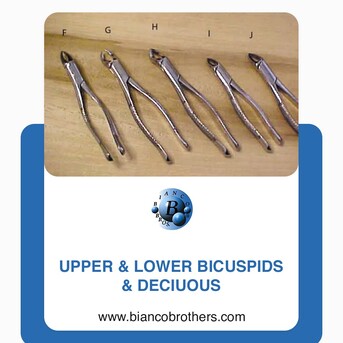 New York, Heavy Equipment, Buy Cuticle Nipper Sharpening Service | Bianco Brothers