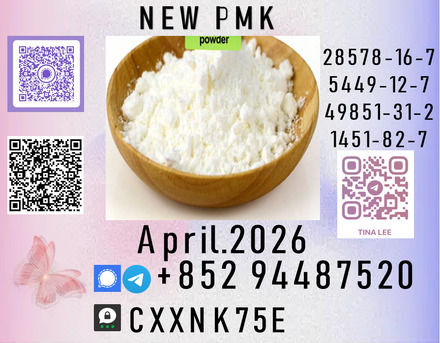 Tirana, Lessons Wanted, Long-term PartnershipsP.M.K