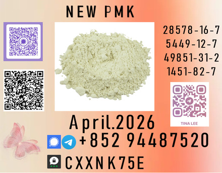 Algiers, Photo & Video, DZD 260,  Infiltration Anesthesia P.MK