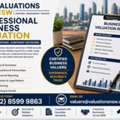 Professional Business Valuation NSW | Certified Company Valuation Experts