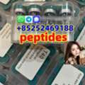 USD 20, 2709672-58-0 Multi Peptides For You Choose