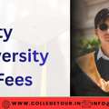 Amity University MA Fees