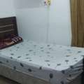 SAR 550/year,  Bed Space