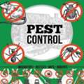 ❥5PROFESSIONAL ALL TYPES PEST❤️ CONTROL SOLUTION❤️SERVICE BEST PRICE=(0571-86=64=33)