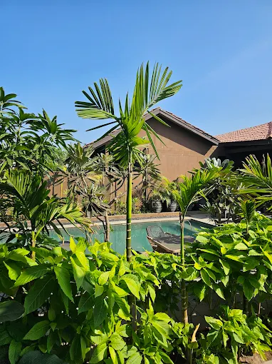 Goa, Real Estate, Goa Hotel With Private Pool For A Calm And Luxurious Escape