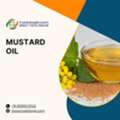 INR 45,  Scale Your Mustard Oil Exports Globally