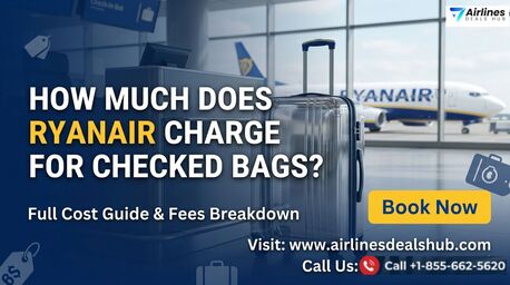 New York, Travel, Ryanair Baggage Fees Help Call Now For Quick Support!