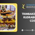 Trimbakeshwar Rudrabhishek Cost | Kalsarp Puja Trimbakeshwar