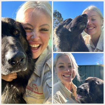 Sydney, Pet Sitting, Affordable Dog Boarding Kennels Near Me With Quality Care