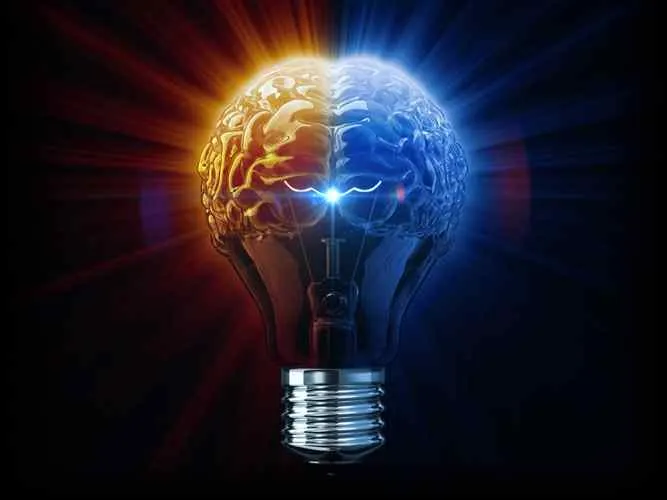 New York, Health & Beauty Items, Brain Vex: Powering Your Daily Brain Performance