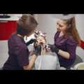 Dentist In Willetton | Dentist Ballajura | Dentist In Thornlie - Advanced Dental Care Pert