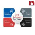 CFO Advisory Services &ndash; Expert Financial Guidance For Business Growth