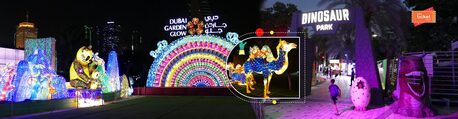 Dubai, Travel, Colorful Night Journey At Dubai Garden Glow