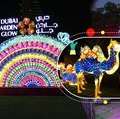 Colorful Night Journey At Dubai Garden Glow