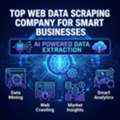 Top Web Data Scraping Company For Smart Businesses