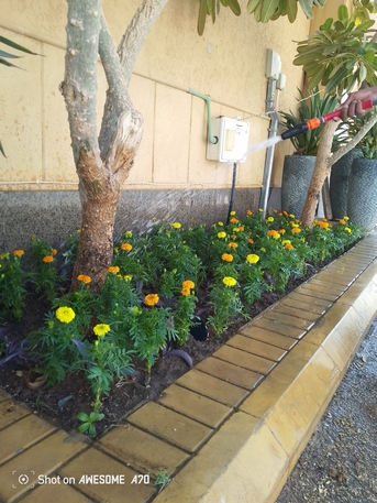 Riyadh, Marketing, Land Scaping