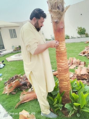 Riyadh, Marketing, Land Scaping