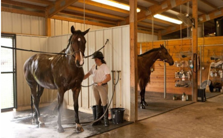 Miami, Pet Sitting, The Ultimate All-Weather Equestrian Center In Ocala, Florida