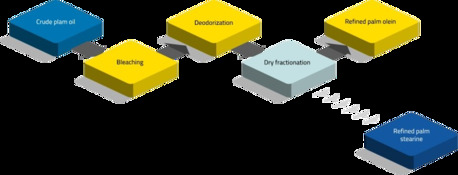 Gurgaon, Wholesale Products, The Unique And Best Quality Of Palm Is That It Produces Two Types Of Oil: Palm Oil And Pal