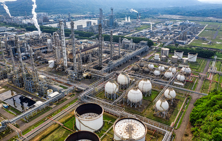 Gurgaon, Wholesale Products, The Unique And Best Quality Of Palm Is That It Produces Two Types Of Oil: Palm Oil And Pal