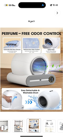 Al Ghadir, Pet Supplies, SAR 1,  Urgent Sale &ndash; Pure Scottish Fold Male Kitten (Golden Color)