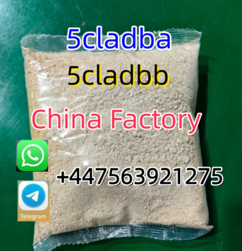 Kabul, RC Hobby, AFN 70,  Yellow Powder 5cladba 5cladbb Whatsapp/Telegram:+447563921275