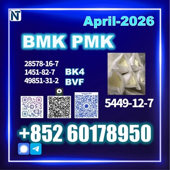 The Hague, Materials, USD 170,  New 5449-12-7 B.MK Quality You Can Rely On