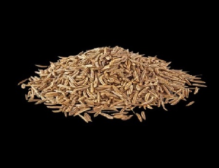 Mumbai, Wholesale Products, Cumin Seeds Suppliers In India - Bulk