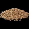 Cumin Seeds Suppliers In India - Bulk