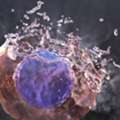 3D Cellular Landscapes Digital Art