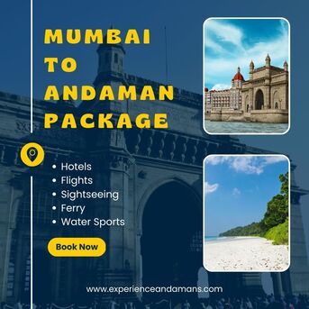 Bangalore, Travel, Best Andaman Tour Package From Bangalore | Budget & Luxury Options Available