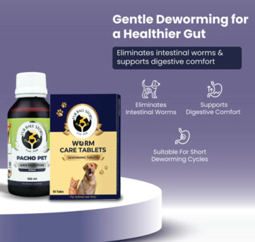 Gurgaon, Pet Sitting, What If Your Pet Could Tell You What&rsquo;s Wrong?