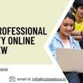 Lovely Professional University Online MSc Review