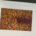BHD 5, Painting